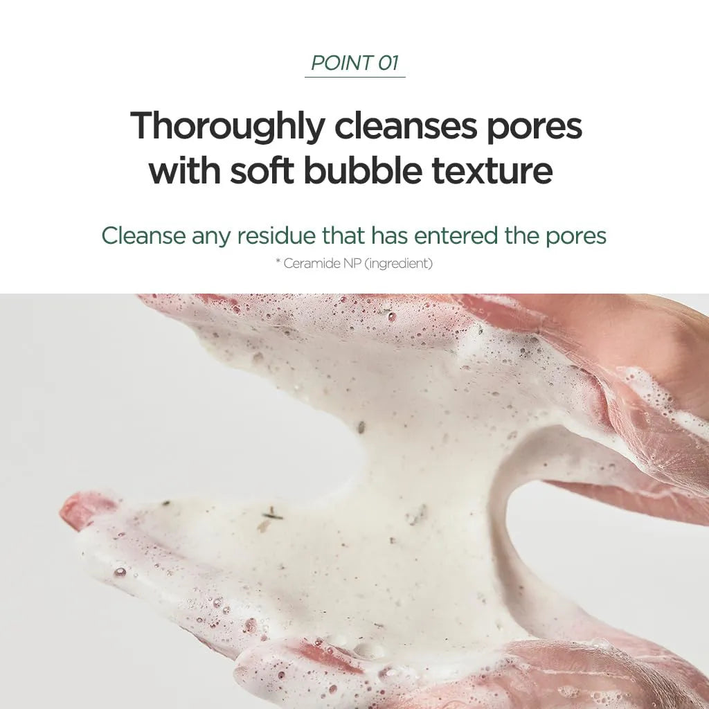 ANUA - Heartleaf Quercetinol Pore Deep Cleansing Foam - Point 1 Thoroughly cleanses pores